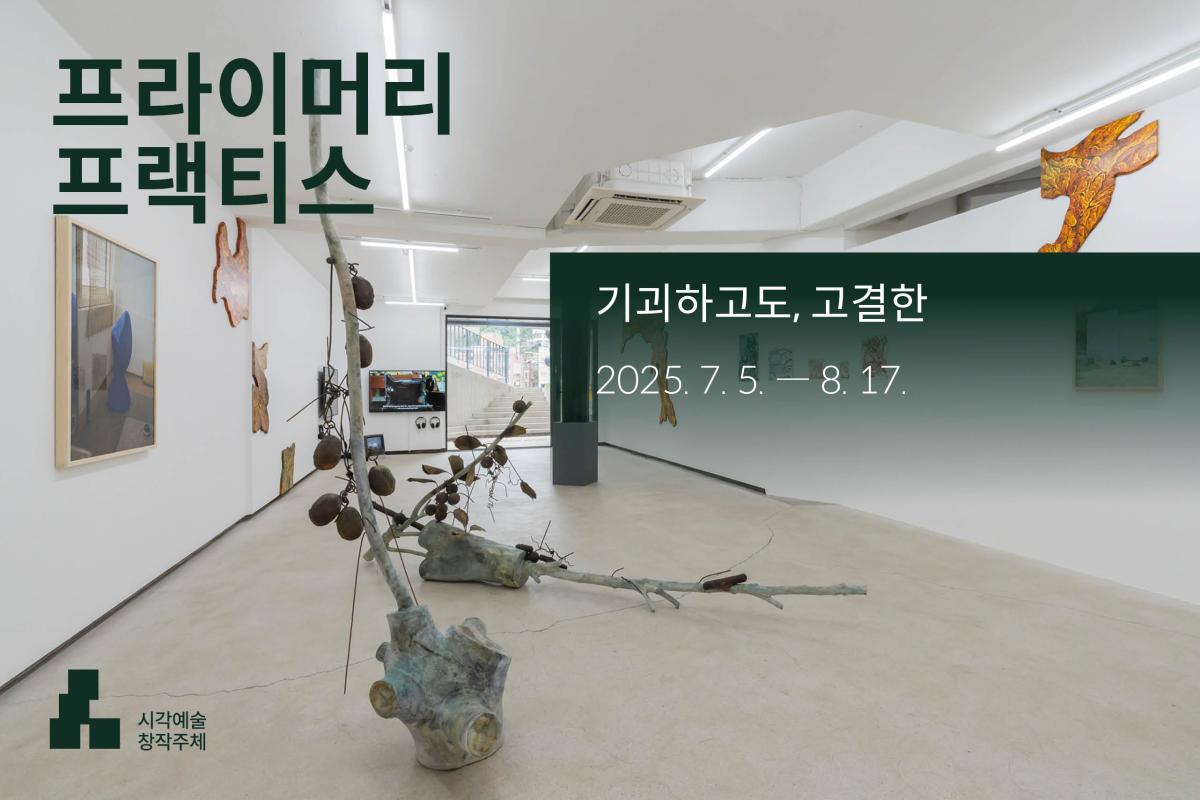 프라이머리 프랙티스 메인이미지 (2).jpg