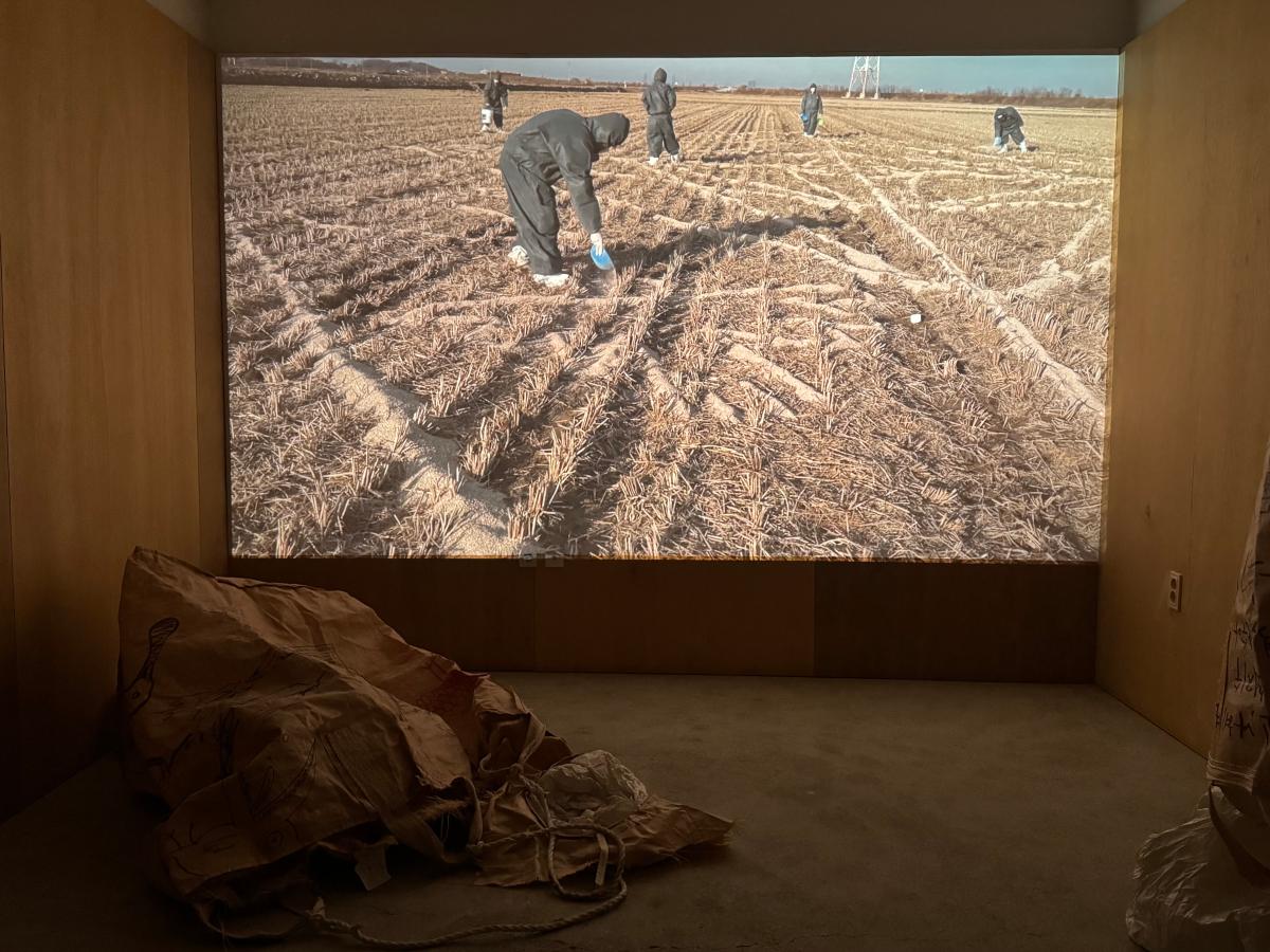 3. 서해영 전시 전경, 볍씨 드로잉-사라지며 살아지는, 8분 20초, 단채널 비디오, 볍씨 포대, 2025(참여자-김민지, 김주원 외 10명)_사진 서해영.jpg