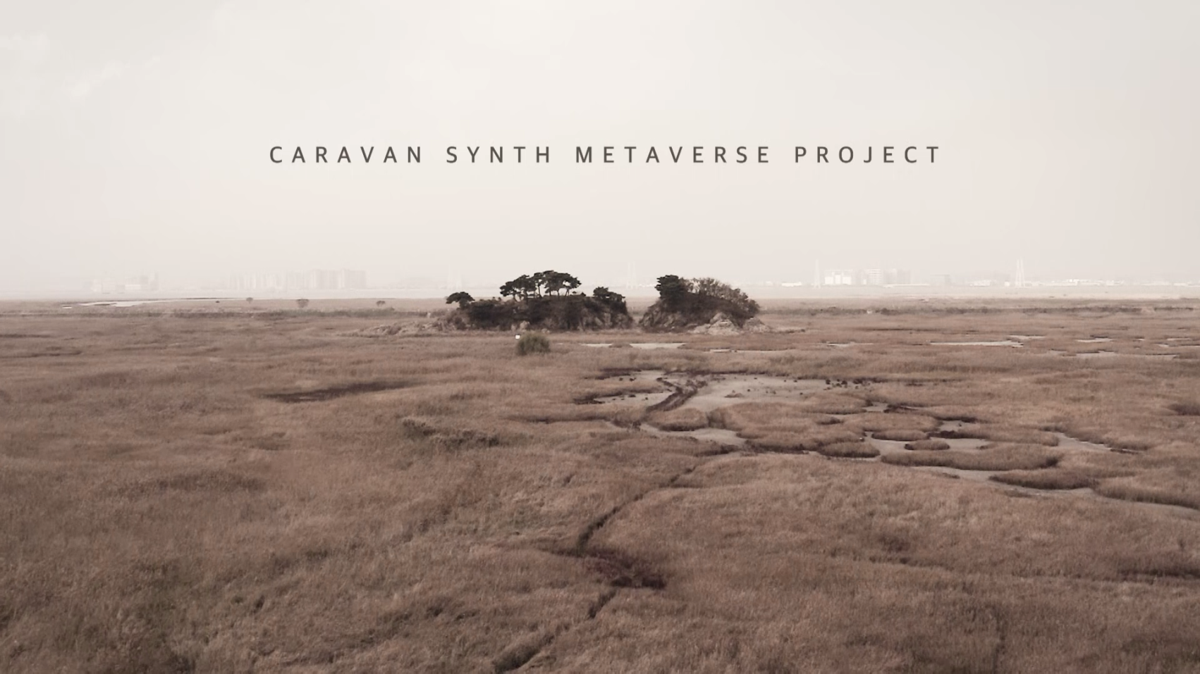 Caravan Synth2023